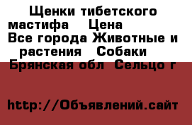 Щенки тибетского мастифа. › Цена ­ 30 000 - Все города Животные и растения » Собаки   . Брянская обл.,Сельцо г.